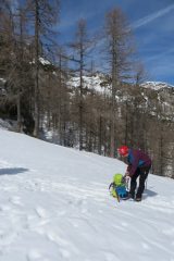 Zimovanje Pokljuka (219)