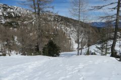 Zimovanje Pokljuka (221)