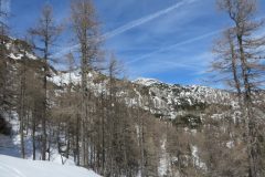 Zimovanje Pokljuka (222)