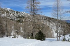 Zimovanje Pokljuka (223)