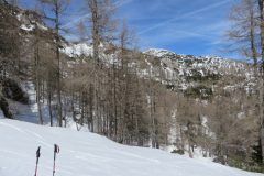 Zimovanje Pokljuka (224)