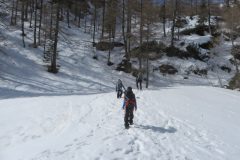 Zimovanje Pokljuka (225)