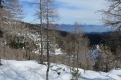 Zimovanje Pokljuka (228)