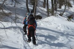 Zimovanje Pokljuka (230)