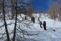 Zimovanje Pokljuka (241)