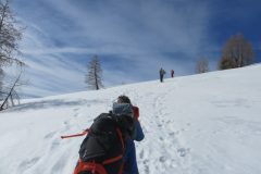 Zimovanje Pokljuka (243)