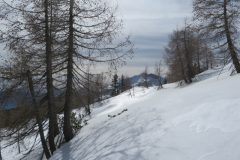 Zimovanje Pokljuka (245)