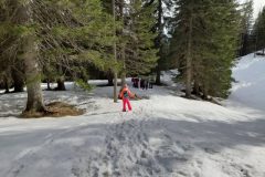 Zimovanje Pokljuka (261)