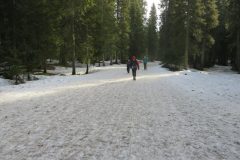 Zimovanje Pokljuka (267)