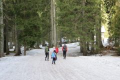 Zimovanje Pokljuka (269)