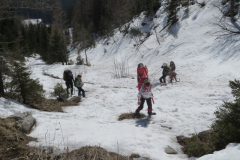 Zimovanje Pokljuka (291)