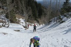 Zimovanje Pokljuka (292)