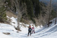 Zimovanje Pokljuka (293)