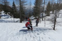 Zimovanje Pokljuka (299)