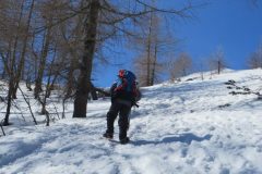 Zimovanje Pokljuka (301)