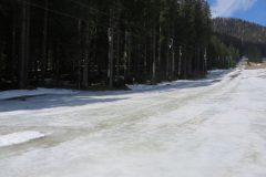Zimovanje Pokljuka (312)