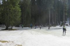 Zimovanje Pokljuka (313)