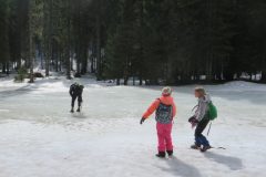Zimovanje Pokljuka (314)